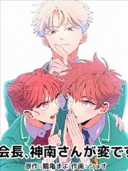 新剧场版导演风格推荐